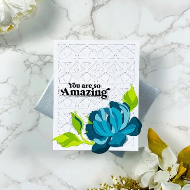 You Are So Amazing Pretty Things Coverplate Card