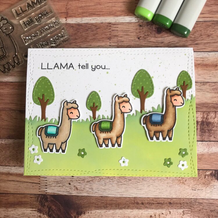 Llama Tell you