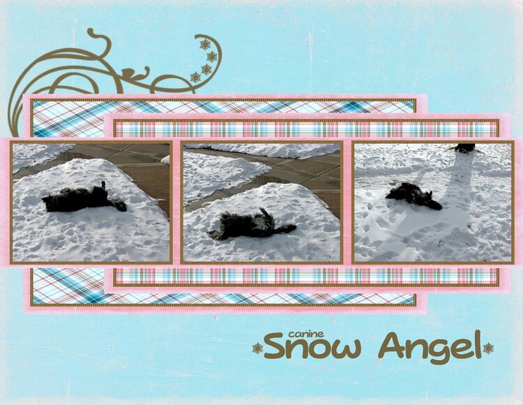 Canine Snow Angel