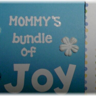 Mommy&#039;s Bundle of Joy