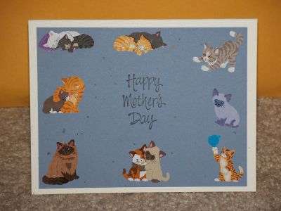 Happy Mothers Day for cat mommy