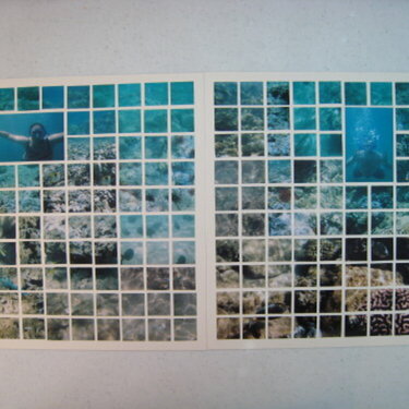 Underwater Mosaic