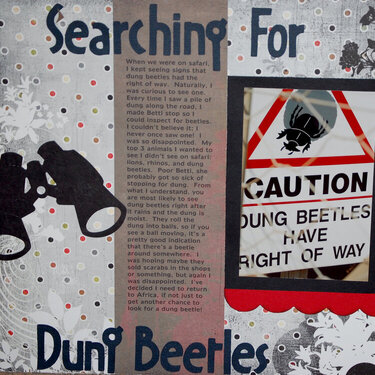 Searching for Dung Beetles