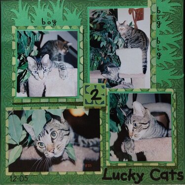 2 Lucky Cats