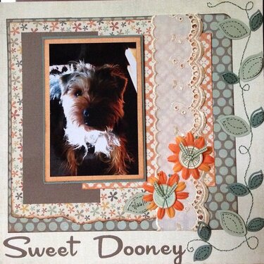 Sweet Dooney