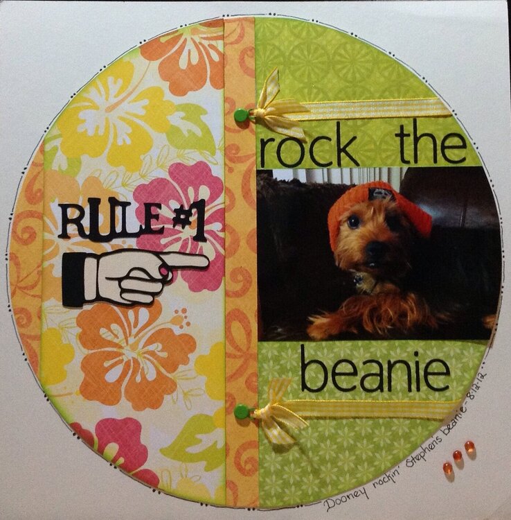 Rock the Beanie