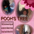 pooh's tree