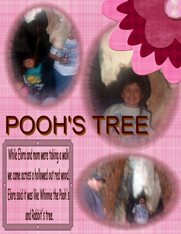 pooh&#039;s tree