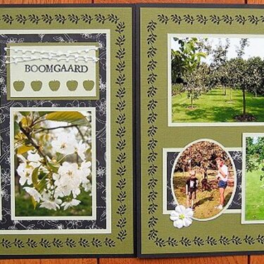 Boomgaard (Orchard)