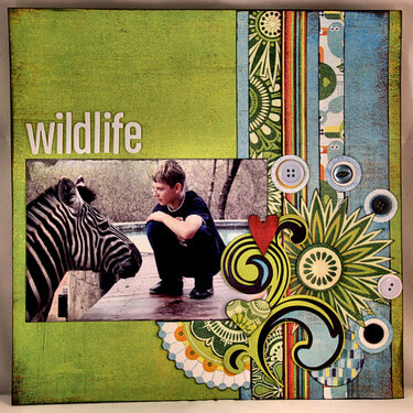 Wildlife