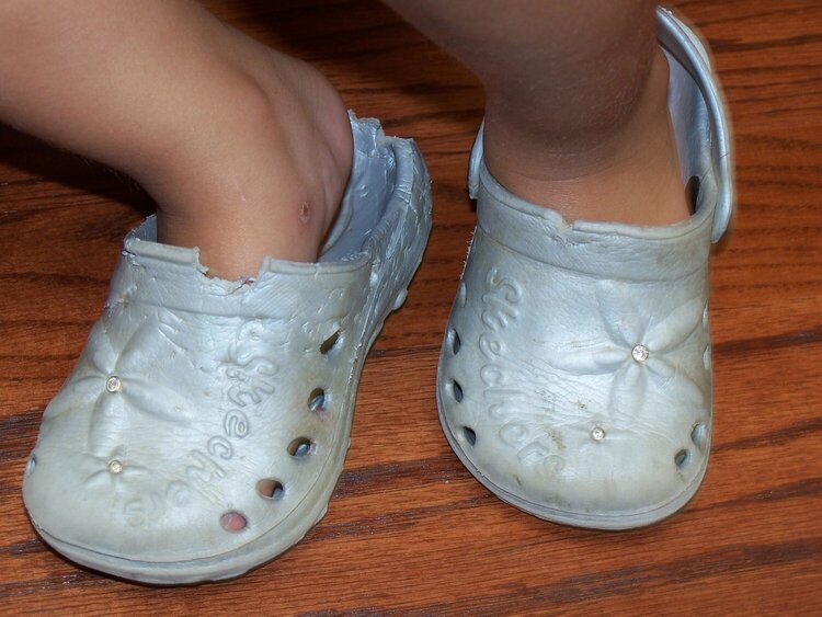 Lil&#039; Crocs - Aug.1