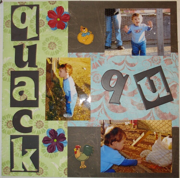 Quack Quack!  My son at the petting zoo Page 1