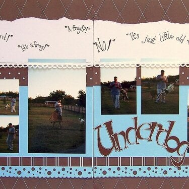 It's a plane! It's a bird! It's a frog!...