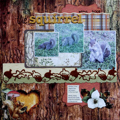 The Squirrel
