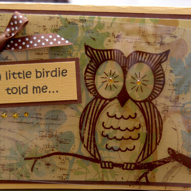 Little Birdie Birthday Card