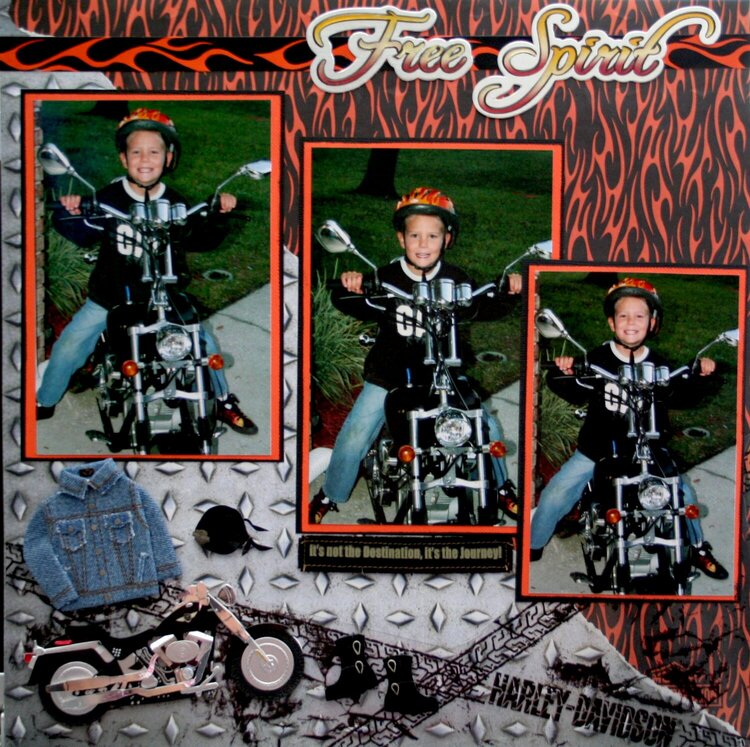 Free Spirit Harley Rider