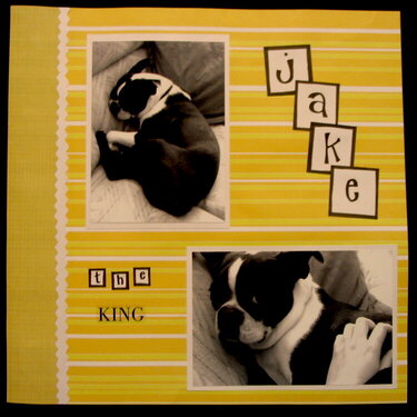 Jake the King