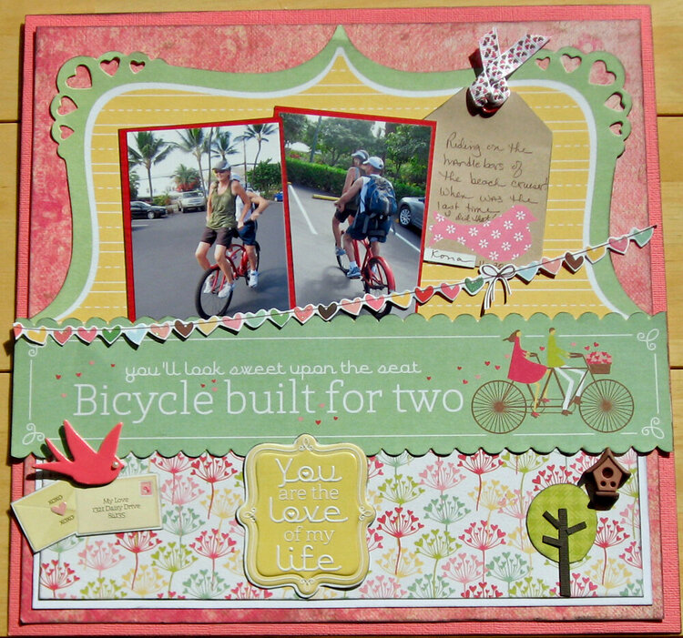 Bicycle built for two