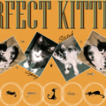 {Perfect Kittens}