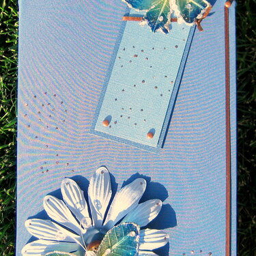 Book and Bookcover/mark swap
