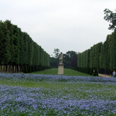 Chteau gardens