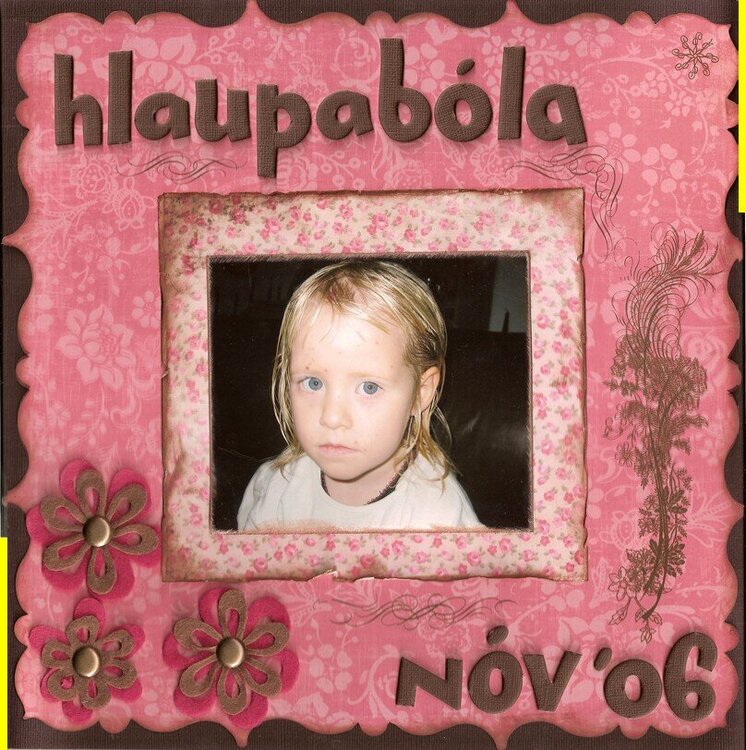 Hlaupabla nv 2006