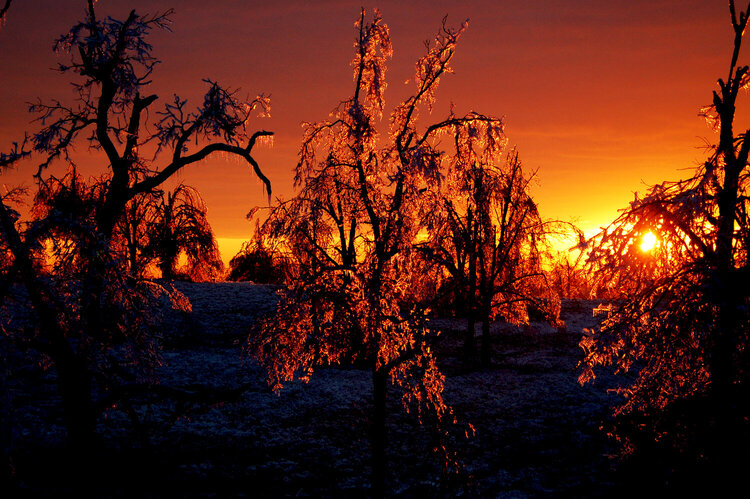 Icy sunset