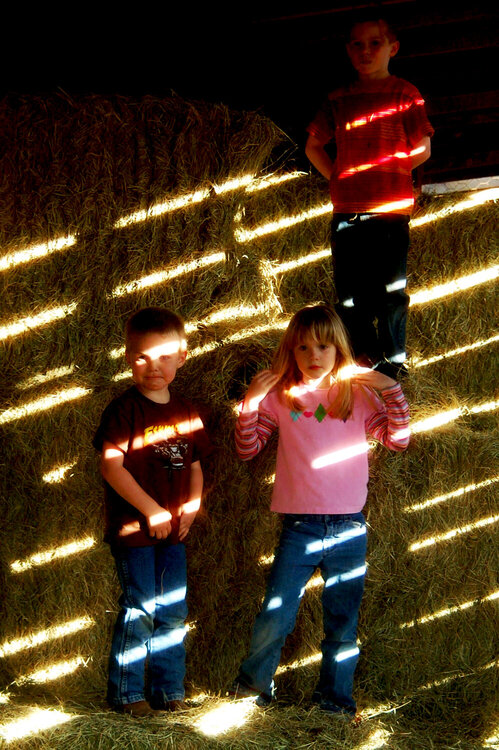 Playing in the barn