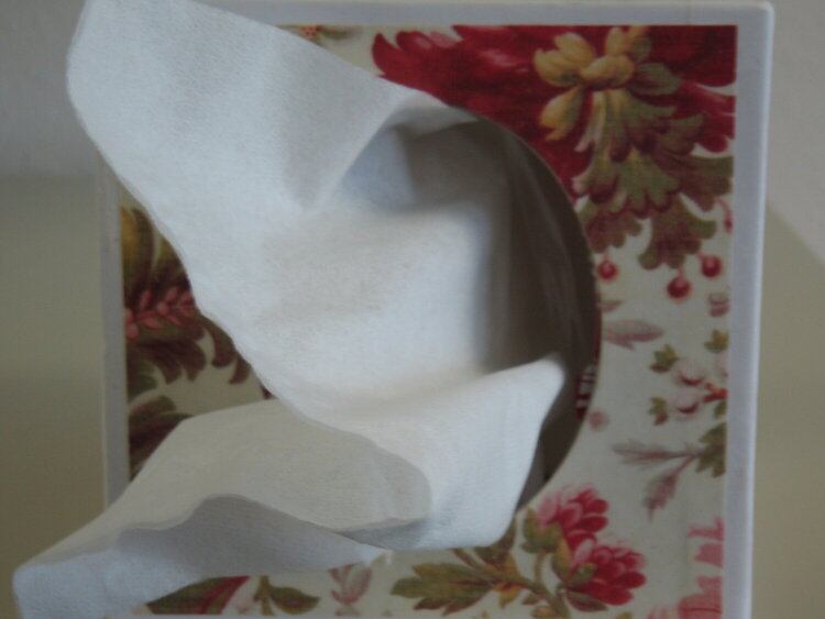 Altered Tissue Holder by Debrabee