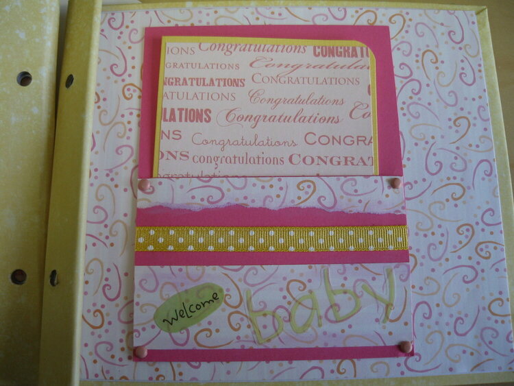 6x6 Mini Album for Baby Girl by Debrabee!