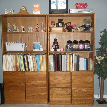 Bookcases with Storage below