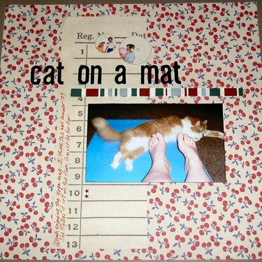 Cat on a Mat