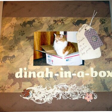Dinah-in-a-box