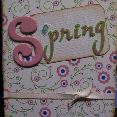 Spring Mini Book cover