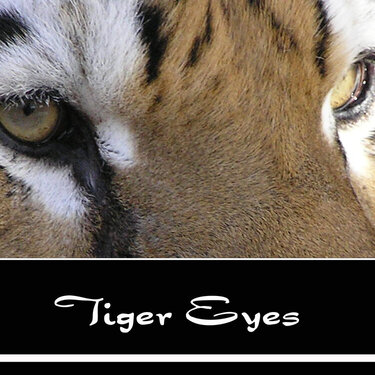 Tiger Eyes