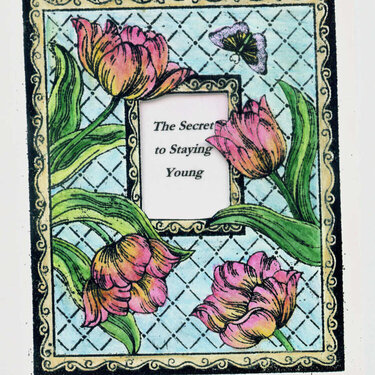 Staying Young - front cover