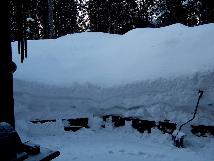 My back garden (terraced) and the spring &quot;gardening&quot; tool for me.