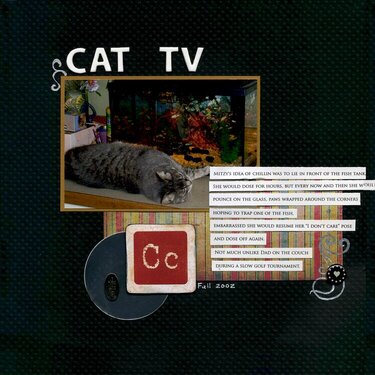 Cat TV