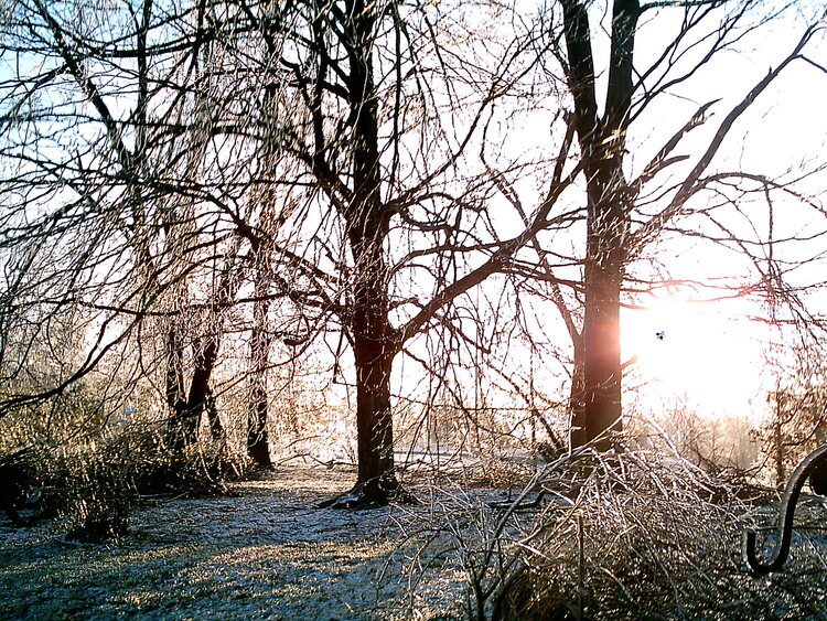 March 5 Icy Morning