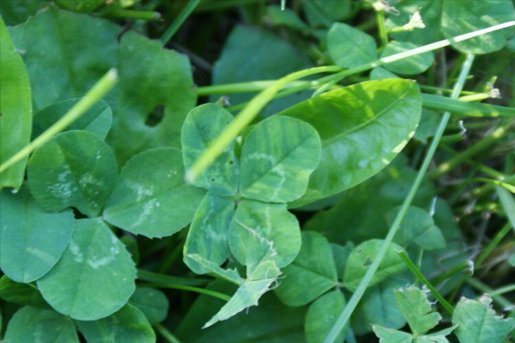 May photo challenge mini &quot;could&quot;