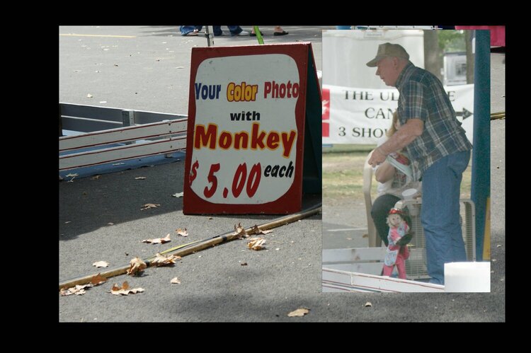 photo a day mini challenge &quot;Monkeying Around&quot;