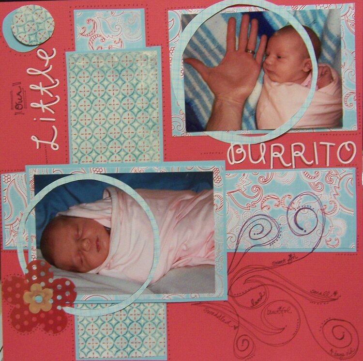 Our Little Burrito