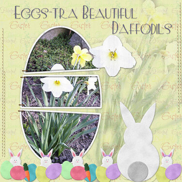 Eggstra_Beautiful_Daffodils