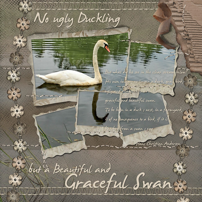 No_Ugly_Duckling