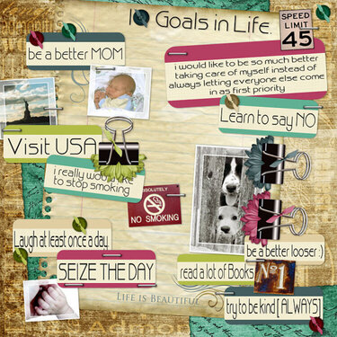 Ten_Goals_in_Life