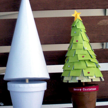 Paper Tree - before and after