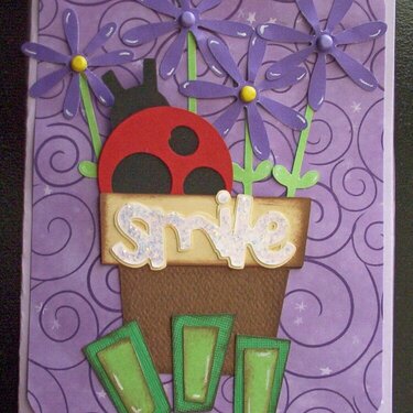 smile lady bug flower pot card