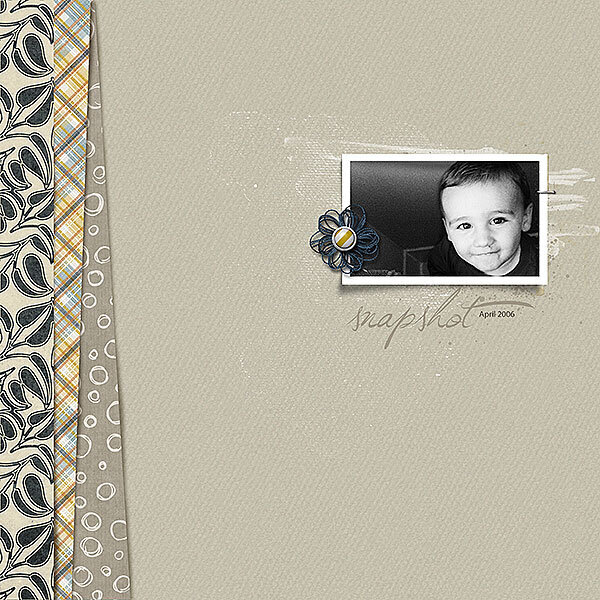 Snapshot