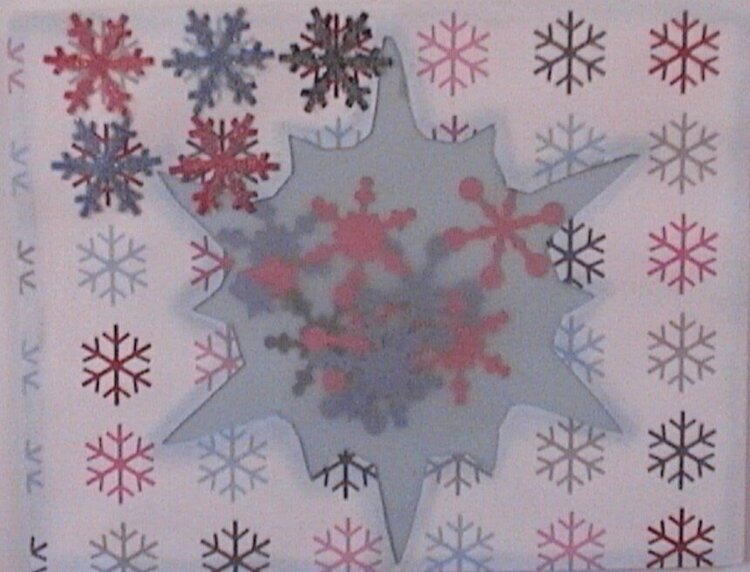 Snowflake shaker card