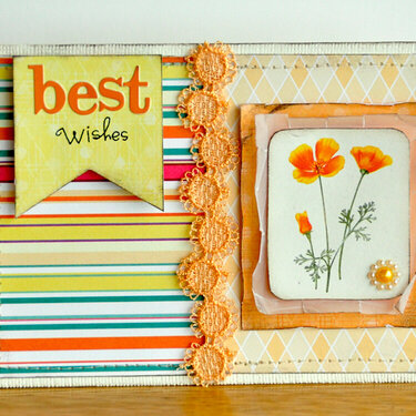 Best Wishes Card ~Webster&#039;s Pages~